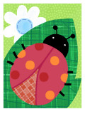 Fun Ladybug