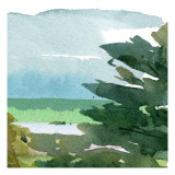 Summertime I
