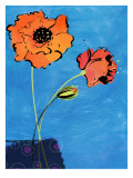 Poppy Lace