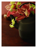 Petite Blossoms II