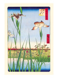 Iris Garden at Horikiri