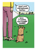 Dog's Dream Backyard