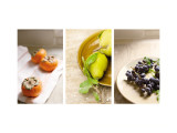 Nature's Bounty Triptych