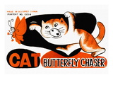 Cat Butterfly Chaser