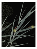 Bamboo and Fireflies