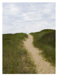 Sandy Beach Path over a Grassy Hill