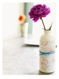 Peony in Vase