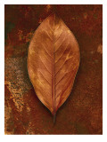 Shiny Leaf in Rust