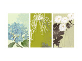 Eastern Floral Triptych