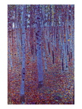 Beech Forest