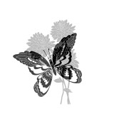 Greyscale Print of Butterfly on Flowers
