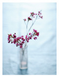 Wildflower Bouquet