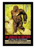 Los Animales del Universo