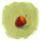Acorn