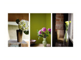 Spring's Stems Triptych