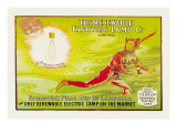 The Renewable Electric Lamp Company Ltd