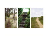 Many Paths Triptych