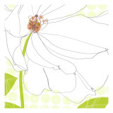 White Flower