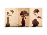 Floral Silhouettes Triptych