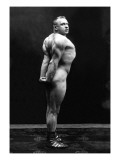 Profile of Arm  Shoulder  and Upper Back Flex