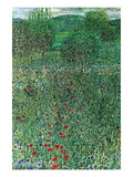 Garden Landscape