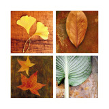 Leaves Arrangement Four Patch