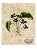 Vintage African Violets with Toad