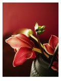 Ruby Tulips Brown Vase
