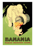 Banani Exquis Dejeuner Sucre