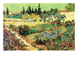 Flowering Garden