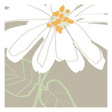 Soft Floral I