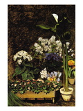Mixed Spring Flowers