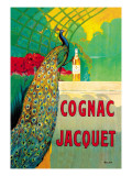 Cognac Jacquet