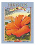 Hibiscus