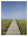 Weathered Beach Boardwalk