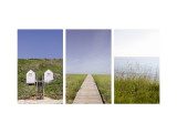 Beach Path Triptych