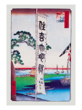 The Banner