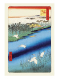 Cranes on the River
