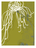 White Flower on Deep Olive