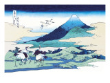 Cranes Nearby Mount Fuji