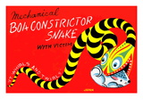 Boa Constrictor Snake with Victim