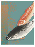Koi in Orange