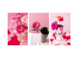 Pink Stems Triptych