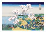 Cherry Blossom Festival