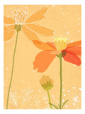 Poppies in Orange