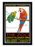 London's Tramways  The Zoo