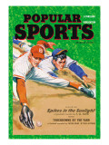 Popular Sports: Spikes in the Sunlight