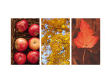 Signs of Autumn Triptych