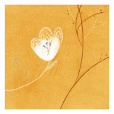 White Flower
