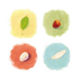 Nature's Ephemera Four Patch
